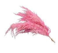 ApuaVireo&Co Ramo de Flores secas de Hierba de la Pampa, 15 Piezas, esponjosas y variadas, for decoración de Casas de Campo, Phragmites Reales, Rosa y Blanco, for Año Nuevo.(Pink)