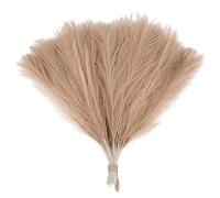 ApuaVireo&Co Ramo de Hierba de la Pampa Artificial Grande, 15/30 Piezas, Planta Falsa, Flores secas simuladas, caña, decoración for Bodas, Fiestas, hogar, Dormitorio, jarrón(F05,30pcs)