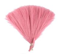 ApuaVireo&Co Ramo de Hierba de la Pampa Artificial Grande, 15/30 Piezas, Planta Falsa, Flores secas simuladas, caña, decoración for Bodas, Fiestas, hogar, Dormitorio, jarrón(F07,30pcs)