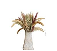 ApuaVireo&Co Ramo Grande de Hierba de la Pampa Seca Natural for decoración de Mesa de Boda, jardín, casa de Campo, Fiesta, etc.(50pcs No Vase)