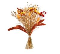 ApuaVireo&Co Ramos de Boda de Flores Grandes de Lavanda Seca de Hierba de la Pampa, Colas de Conejo secas Naturales, decoración de Hierba de la Pampa, arreglos for Damas de Honor(G)