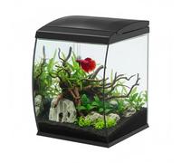 AQPET Acuario Curvo de Cristal Curvado 35 l con Filtro Superior Integrado y LED 6 W - Acuario de diseño de Escritorio con Bomba incluida y Tapa para dispensador automático de Alimentos (Negro)