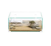 AQPET Tortuguera de Cristal con Tapa e Isla para Tortugas de Agua Tortuga, 40, 40 x 24 x 17 cm, 16 litros