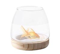 Aqua Bowl Glass Storage Landscape Bottle Fish Aquarium Glass Flowerpot Planta hidropónica Terrario hecho de vidrio, cáscara de madera transparente | Jarrón para flores, jarrón de vidrio, concha de pes