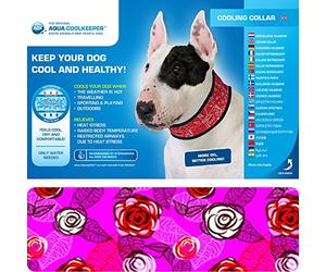 Aqua Coolkeeper Collar Roses L