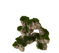 Aqua Della Adorno para Acuario Moss Rock 1