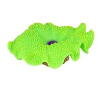 Aqua Della Anémonas Alfombra Verde 18x16x5 CM Acuario Planta Decoración