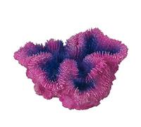 Aqua Della &apos 234 - 431351 Coral Módulo symphylia, 12 x 5 x 12 cm, Color Lila
