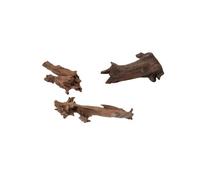 Aqua Della Decor Madera, 15 a 25 cm, Jati, 1 unidad