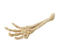 Aqua Della Esqueleto Decoración De Acuario 26,8x9,4x4,5 Cm No Tóxico Agua De Mar