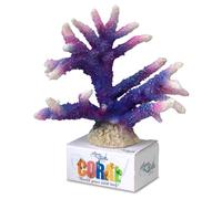 Aqua Della Korallenmodul Staghorn Coral Violeta 17x16, 7x13cm Zierfischdeko