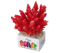 Aqua Della Módulo De Coral Acropora Rojo 11,5x10,5x9cm Decoración Para Acuario