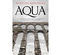 Aqua: Una apasionante novela sobre la construcción de un monumento extraordinario (Novela histórica)
