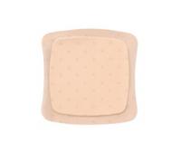 Aquacel Ag Foam Ades 8X8 10Pcs