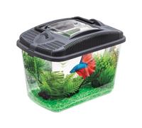 Aquael Betta Kit 1000 g