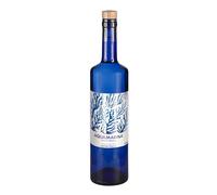 AQUAMARINA COSTA BRAVA - Agua de Mar HIPERTÓNICA - botella de 750ml 100% Natural, Sin aditivos, Rica en Minerales, Microfiltrada en frío | Ideal para beber y cocinar - 1 botella de 750ml