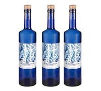 AQUAMARINA COSTA BRAVA - Agua de Mar HIPERTÓNICA - botella de 750ml 100% Natural, Sin aditivos, Rica en Minerales, Microfiltrada en frío | Ideal para beber y cocinar (3 Botellas 750ml)