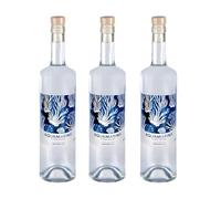 AQUAMARINA COSTA BRAVA - Agua de Mar ISOTÓNICA - 100% Natural, Sin aditivos, Rica en Minerales, Microfiltrada en frío | Ideal para beber y cocinar (3 botellas de 750ml)