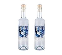 AQUAMARINA COSTA BRAVA - Agua de Mar ISOTÓNICA - botella de 750ml 100% Natural, Sin aditivos, Rica en Minerales, Microfiltrada en frío | Ideal para beber y cocinar (2 Botellas 750 ml)