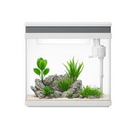 AquaOne HNE-380 Acuario Completo 26 L Filtro LED Blanco, 1 Unidad