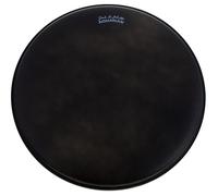 "Aquarian 14"" Jack De Johnette Signature"