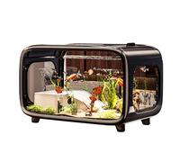 Aquario del Paisaje - Mini hábitat para Peces Betta, contenedor Transparente con Verde acuático | Pequeño Acuario Decorativo con Plantas Candadas de camarones Casa de Oficina