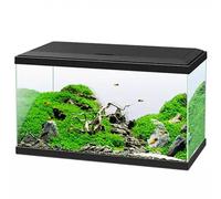 Aquário Emotions Pro 60 con filtro y calentador - Ciano Aquarium
