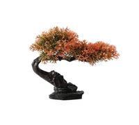 Aquarios Delicados Paisajismo Planta Artificial Terrario Terrario Estatuto De Árboles De Camarones Acuarios Hábitat Decoros Aquario Planta