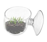 Aquarium Feeding Dish - Floating Shrimp Food Tray, Glass Reptile Bowl Holder with Strong Suction Cups, Prevention, Ideal for Aquatic Tanks and Small Terrariums