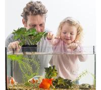 Aquarium Plant Holder - Holders Cup, Tank Decoration, Compact Size Lightweight Durable Finish Removable | Suitable Ideal aquascpe Hobby Reef Tanks Freshwater Saltwater Fish Display Arrangement