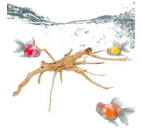 Aquarium Plants, Turtle Tank Wood Tree Root, Solid Reptile Wood Branches, Terrarium Decor & Sea Tank Accessories, Ideal for Small Fish Hiding & Natural Habitat