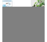 Aquarium Zuchtbox, Acryl - Fisch Brutkasten Isolierkasten | Kristallklare Ablaichbox für Guppy Kampffisch | S M L 12.5-20.5cm Aufzuchtbecken | Transparente Trennbox mit Skala für Babyfische