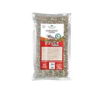 AquariumLine Koiessence Sticks - Alimento básico en barra flotante para carpas y peces de estanque, varios tamaños (80 l/8 kg)