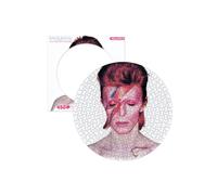Aquarius puzzle david bowie aladdin disco, de 450 piezas piezas, puzzl