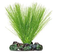 Aquatic Plants AP1114 Planta de Seda Miriophyllium para Acuarios, 7 Cm