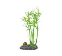 Aquatic plants planta acuario bambú 19 cm