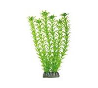 Aquatic plants planta acuario elodea 29 cm