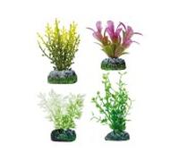 Aquatic plants planta acuario varias 1