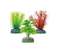 Aquatic plants planta acuario varias 2
