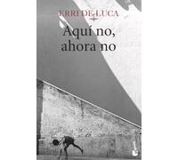 Aquí no, ahora no (Novela)