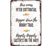 Aquí viene Peter Cottontail, cartel de hojalata de Pascua, regalo para mujeres y hombres, decoración de pared, letreros de metal para cafetería, cocina, baño, cueva de hombre, garaje, cafetería, bar,