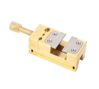 aqxreight Abrazadera de Herramienta de Reparación de Relojes con Tornillo de Banco de Latón para Sujetar las Manos Rueda y Pasadores Placa de Sujeción de 0,2-0,9 Mm Abrazadera de Tubo de Apertura y