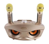 aqxreight Altavoz Bluetooth con Micrófono para Karaoke en Casa - Máquina KTV Portátil con 2 Micrófonos, Batería de 1800mAh, Soporte AUX/USB/TF, Alcance de 10m, Ideal para Fiestas Familiares (Gold)