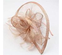 aqxreight Fiesta de la Mujer W Fascinator Cocktail Hat H Band Accesorios Velo H Diadema Vintage Clamp/Holder Amilies y Amigos. Plumas de Banda para la Cabeza de Cabeza de Fiesta para Had Dr para