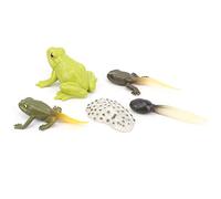 aqxreight Modelo de Ciclo de Vida de Ciclo de Crecimiento de Animales, Modelo de Enseñanza de Aprendizaje, Juguete para #3 Diferentes de Crecimiento. Reutilizable Cómo Cambiar Pueden los Detalles