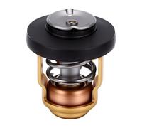 aqxreight Reemplazo de Termostato Externo para Motores de 4 Tiempos de | Carcasa Inoxidable, Se Activa a 60 °C, Instalación Plug-and-play, Compatible con 66M-12411-00 y A67F