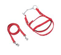 aqxreight Rienda de Brida para Caballo, Rienda de Ayuda para Entrenamiento de Nailon para Equitación y Diseño Elegante, Ajuste Universal para la Mayoría de los Caballos, Agarre y Control Mejorados