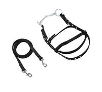 aqxreight Rienda de Brida para Caballo, Rienda de Ayuda para Entrenamiento de Nailon para Equitación y Diseño Elegante, Ajuste Universal para la Mayoría de los Caballos, Agarre y Control Mejorados