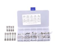 aqxreight Surtido de Kit de Fusibles de Tubo de Vidrio, 100 Unidades, 5 X 20 Mm, 6 X 30 Mm, Protección de Circuito de Vehículo, Valores de 10 Amperios, 0,2 A A 30 A, en Caja de