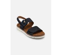 Ara KENT-SPORT-S 12-28134 38 Azul
